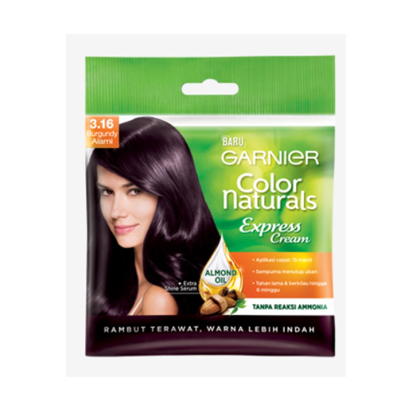 Garnier Color Natural Ex